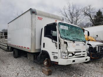  Salvage Isuzu Nqr