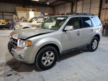  Salvage Ford Escape