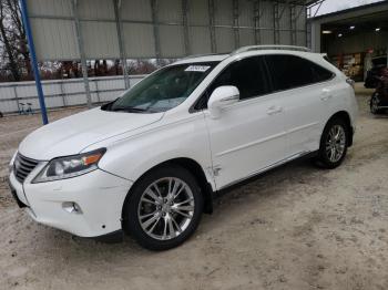  Salvage Lexus RX