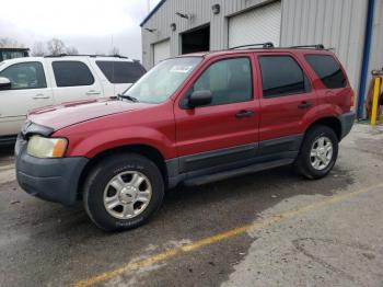  Salvage Ford Escape