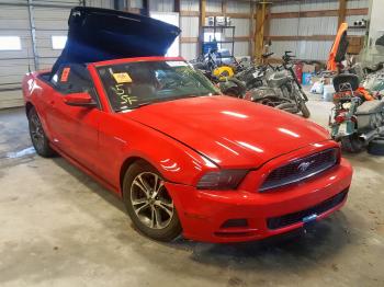  Salvage Ford Mustang