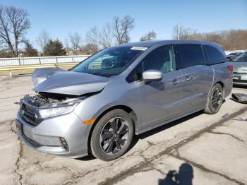  Salvage Honda Odyssey