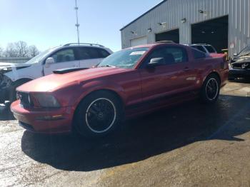  Salvage Ford Mustang