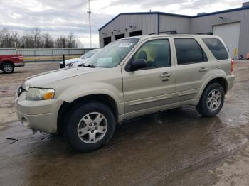  Salvage Ford Escape