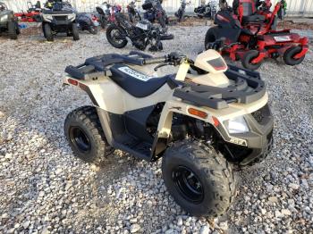  Salvage Other 4wheeler