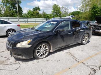  Salvage Nissan Maxima