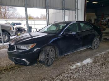  Salvage Acura TLX