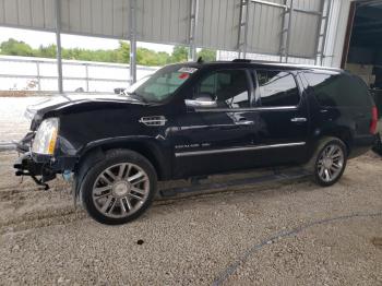  Salvage Cadillac Escalade