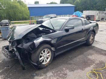  Salvage Ford Mustang