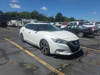  Salvage Nissan Maxima