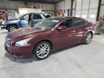  Salvage Nissan Maxima
