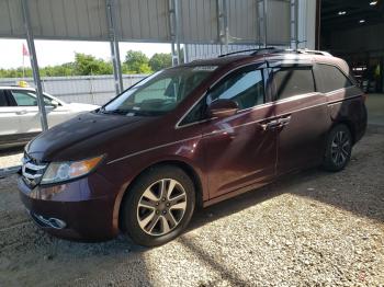  Salvage Honda Odyssey