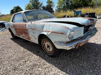  Salvage Ford Mustang