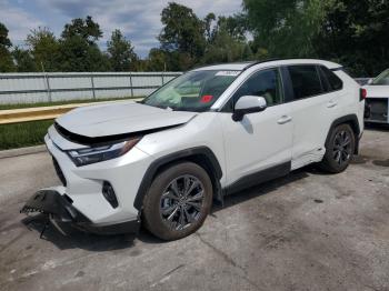  Salvage Toyota RAV4