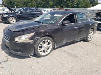  Salvage Nissan Maxima