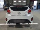 Hyundai VELOSTER Turbo Image 11