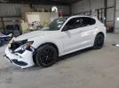 Alfa Romeo Stelvio Ti Image 1