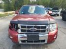 Ford Escape Limited Image 10