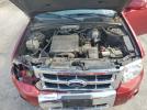 Ford Escape Limited Image 5