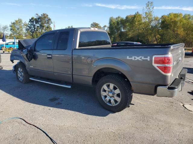 Ford F-150 Super Cab Image 2