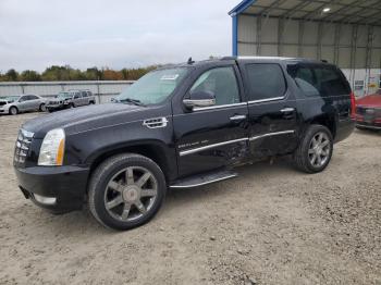  Salvage Cadillac Escalade