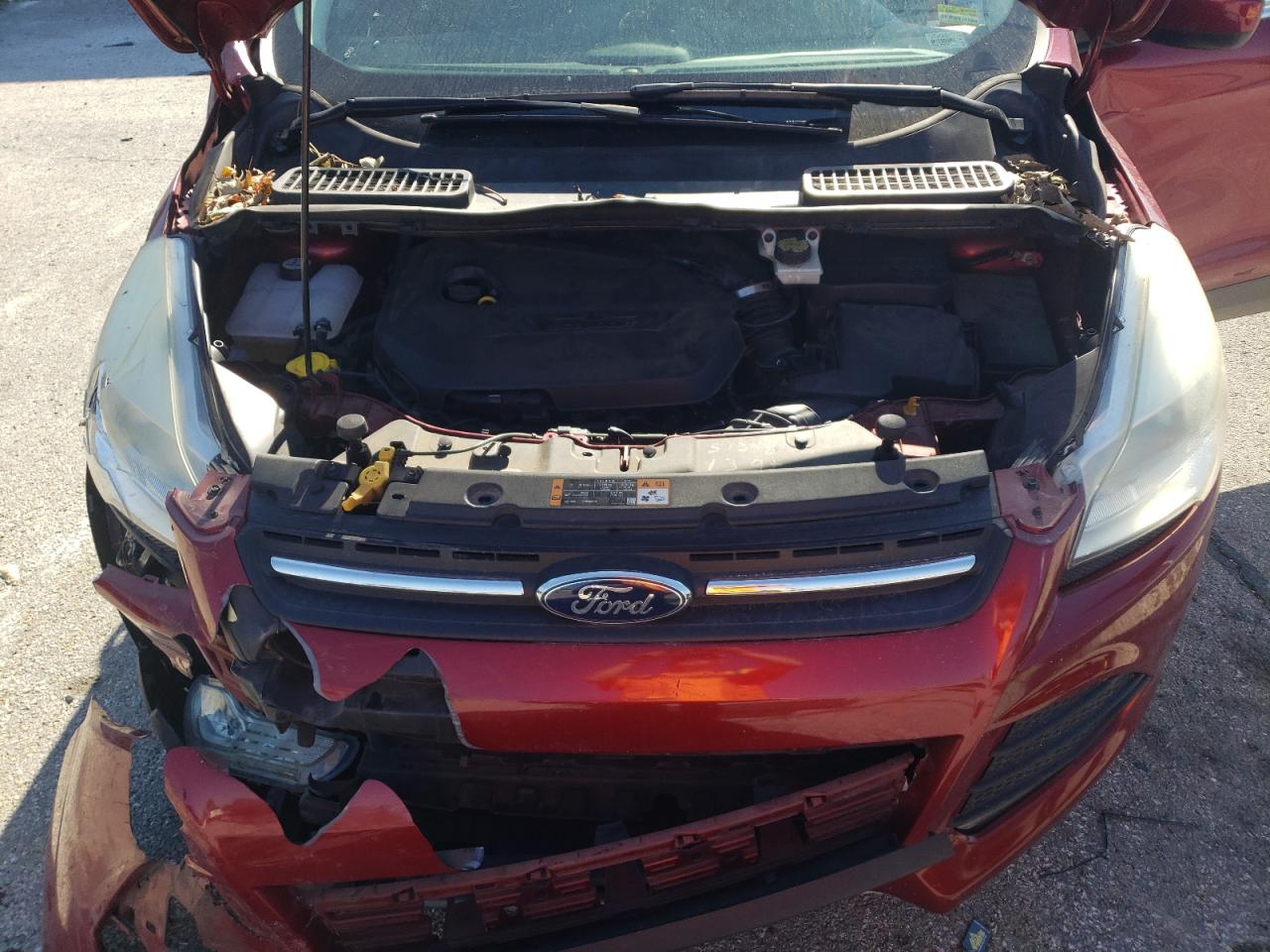 Ford Escape Se Image 9