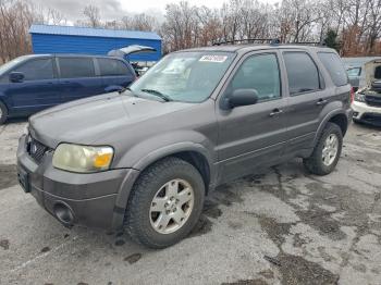  Salvage Ford Escape