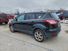 Ford Escape Titanium Image 7