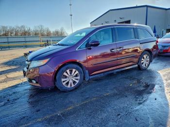  Salvage Honda Odyssey