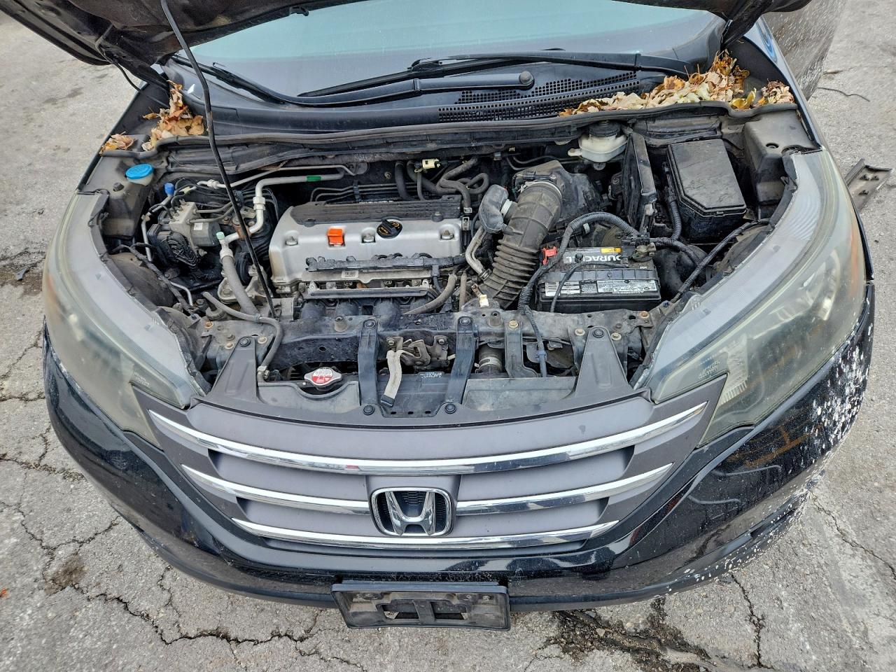 Honda Crv Ex Image 8