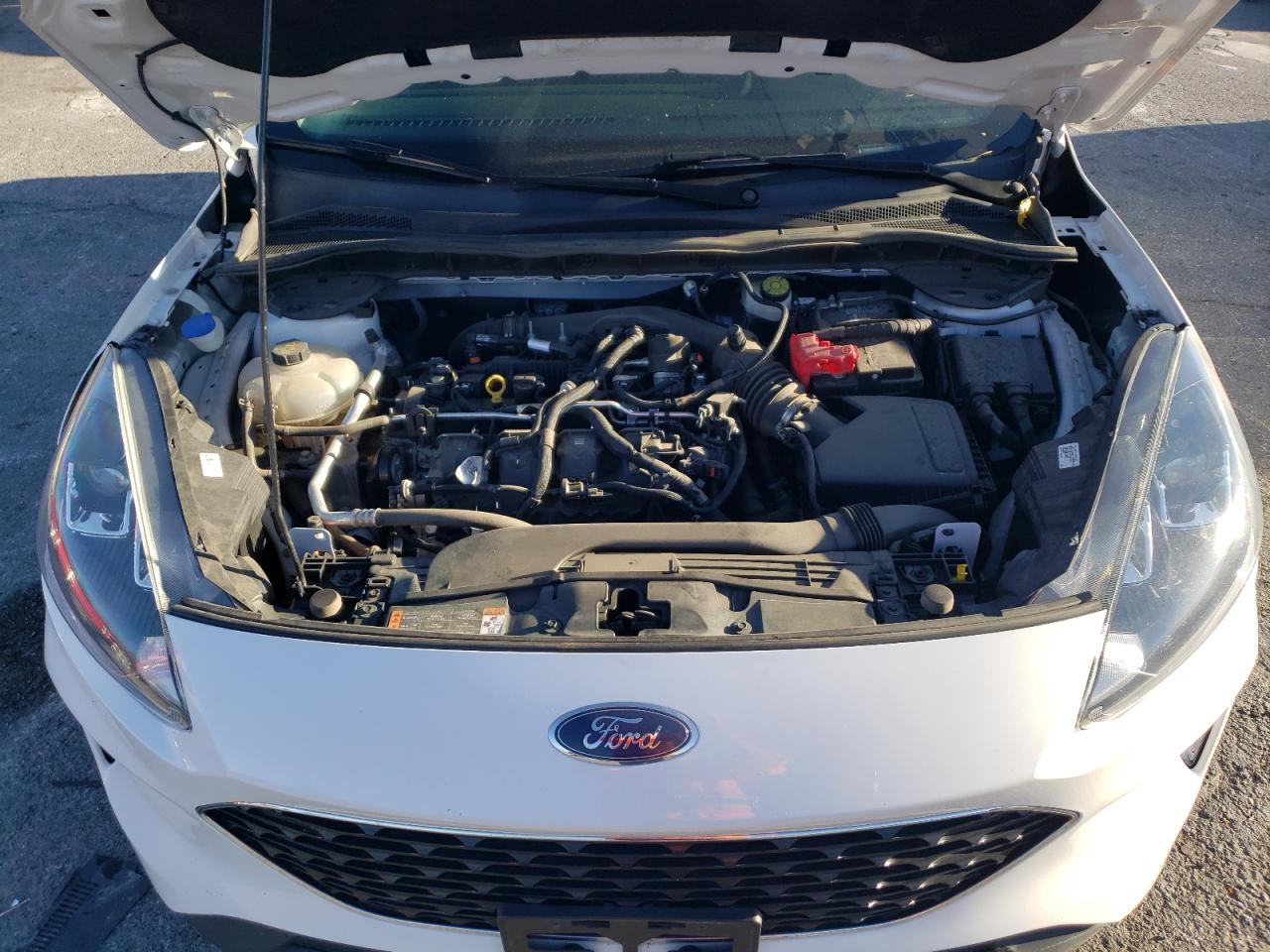 Ford Escape Sel Image 10