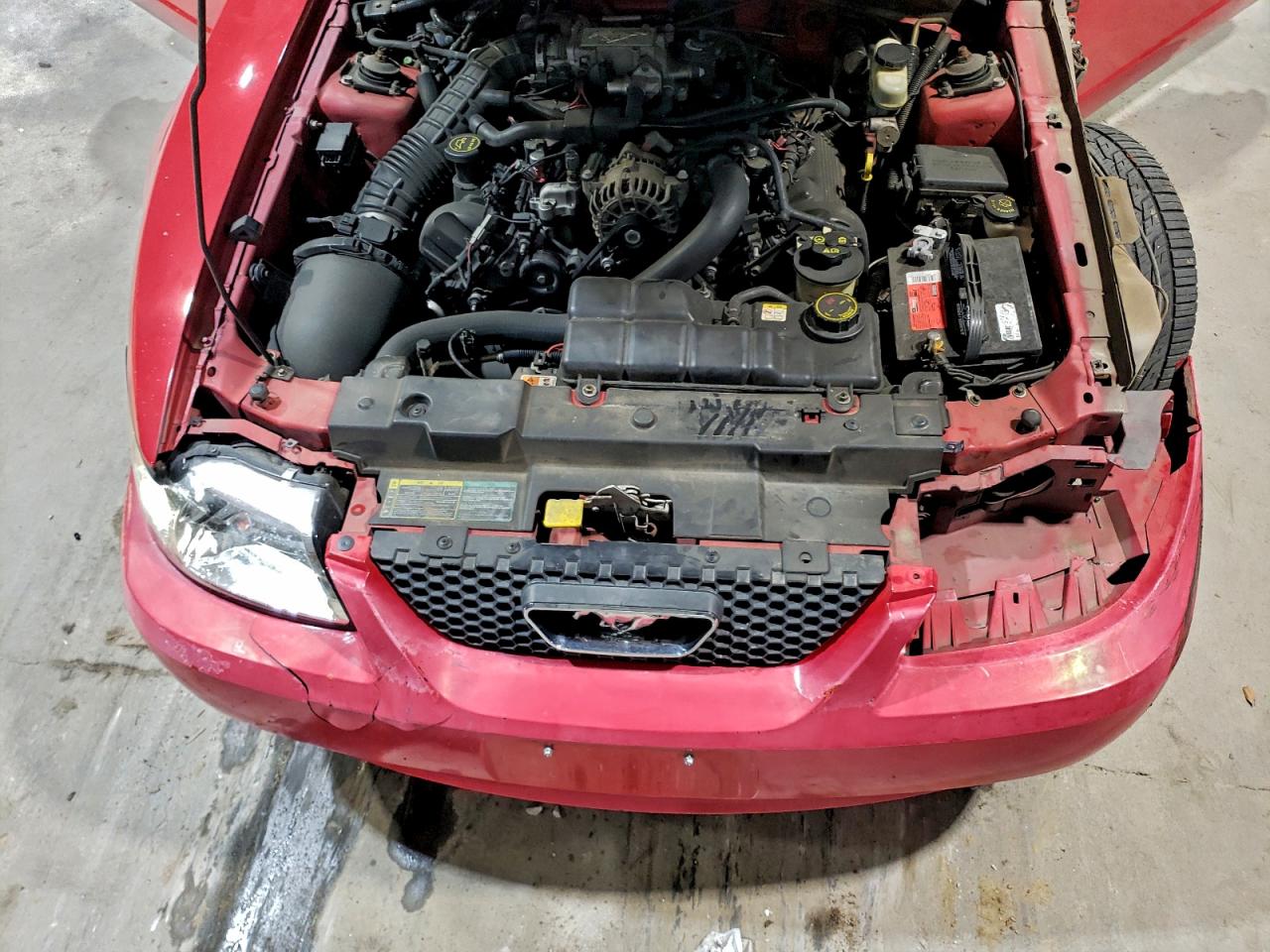 Ford Mustang Gt Image 2