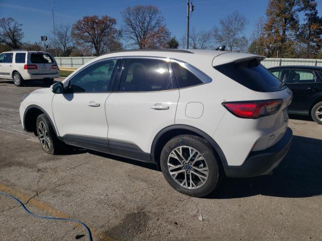 Ford Escape Sel Image 7