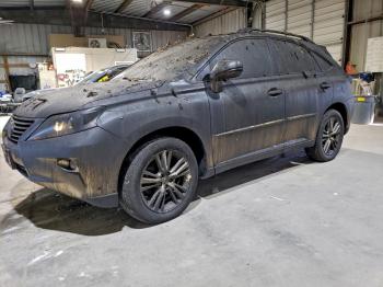  Salvage Lexus RX