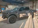 Ford F-150 Raptor Image 1