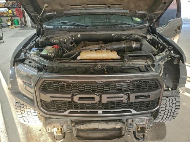 Ford F-150 Raptor Image 11