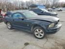 Ford Mustang Image 4