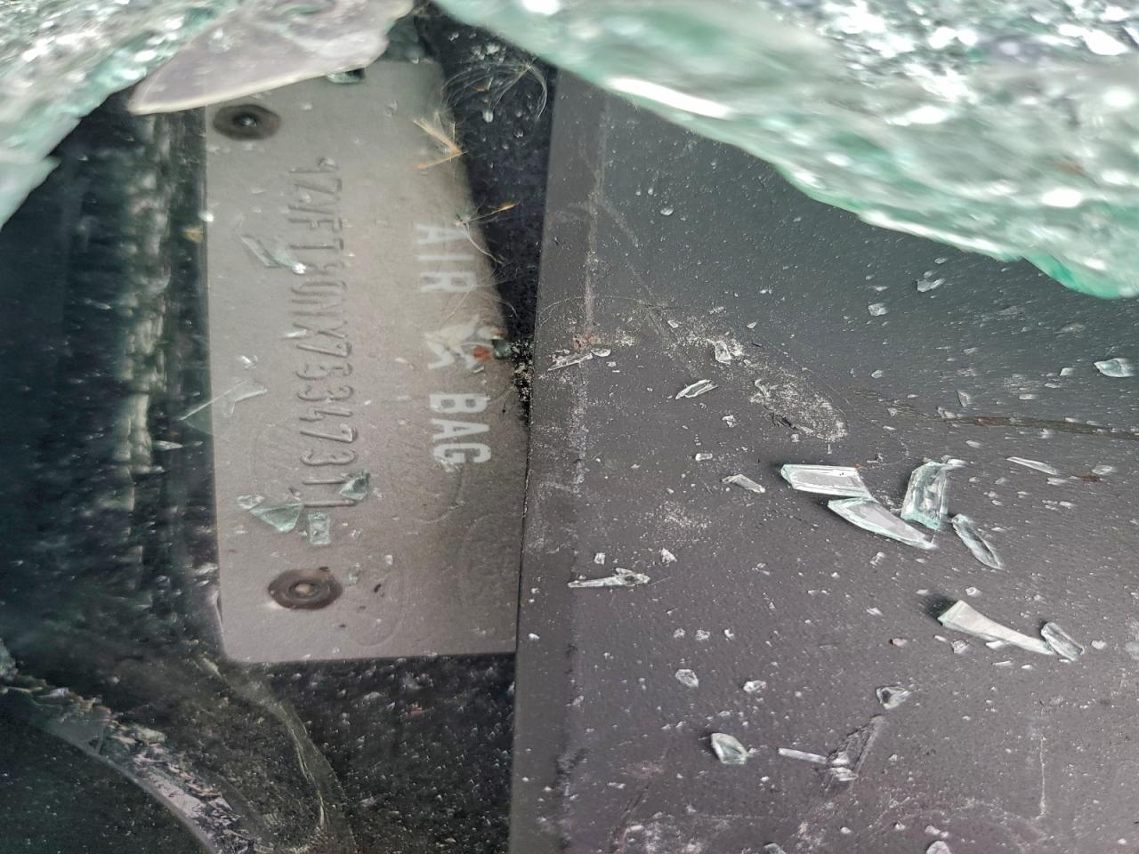 Ford Mustang Image 3