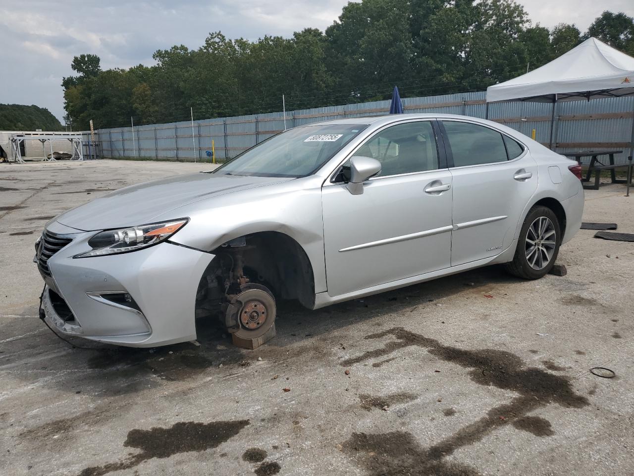 Lexus Es 300h Image 1