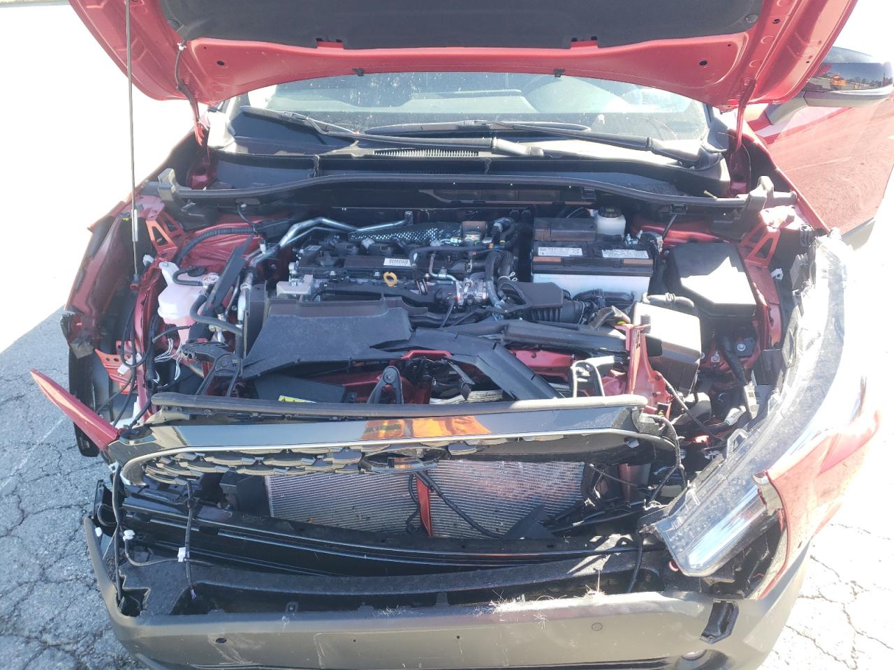 Toyota Corolla Xle Image 6