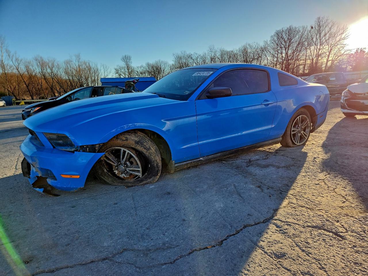 Ford Mustang Image 1