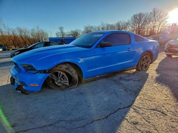  Salvage Ford Mustang