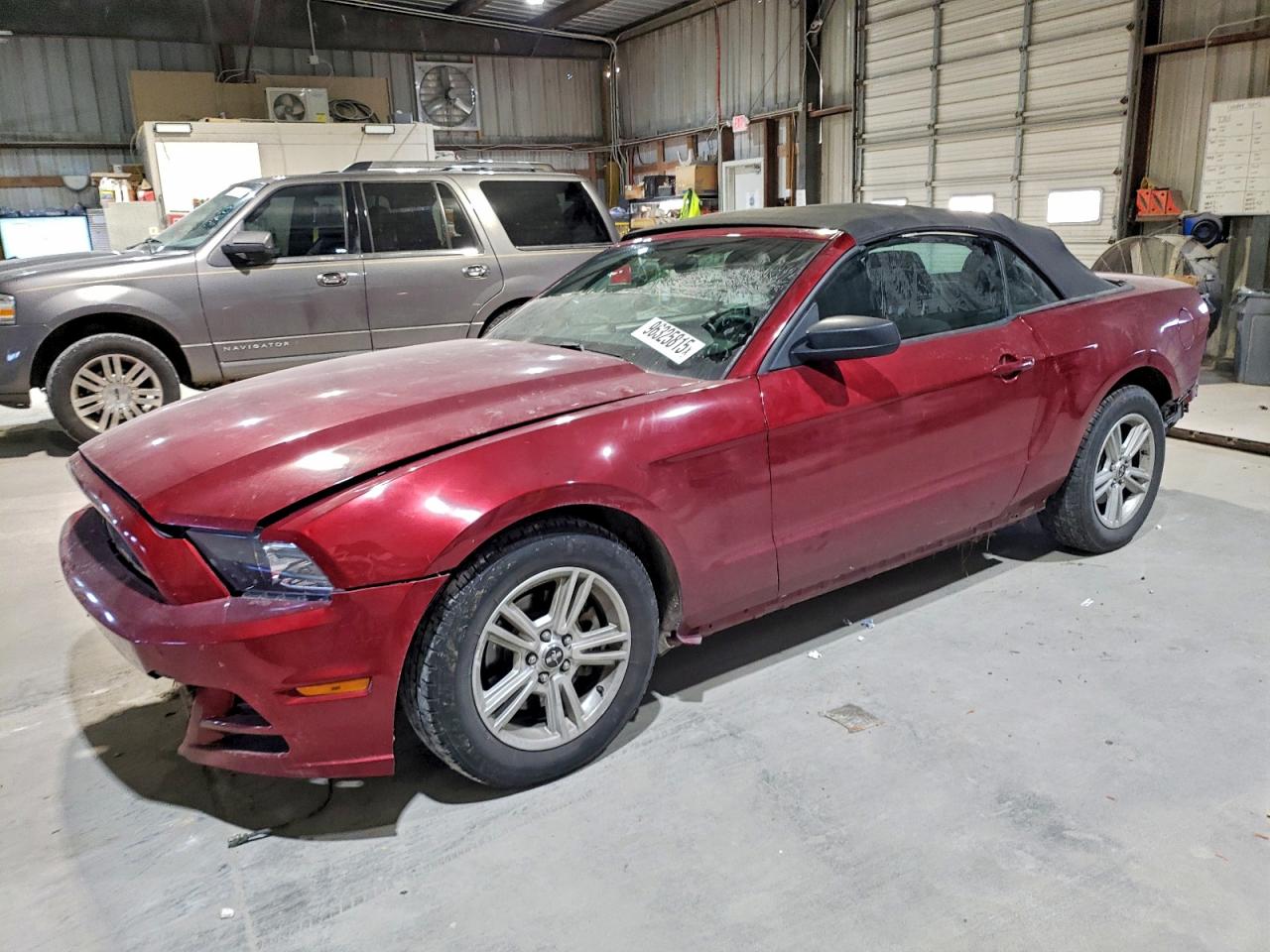 Ford Mustang Image 1