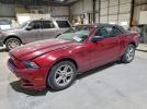 Ford Mustang Image 1