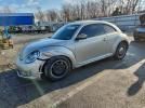 Volkswagen Beetle Image 1