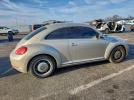 Volkswagen Beetle Image 2
