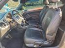 Volkswagen Beetle Image 11