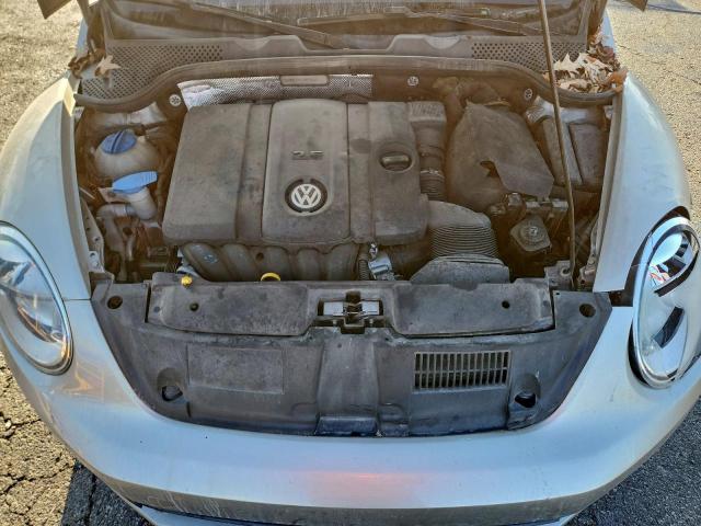 Volkswagen Beetle Image 10