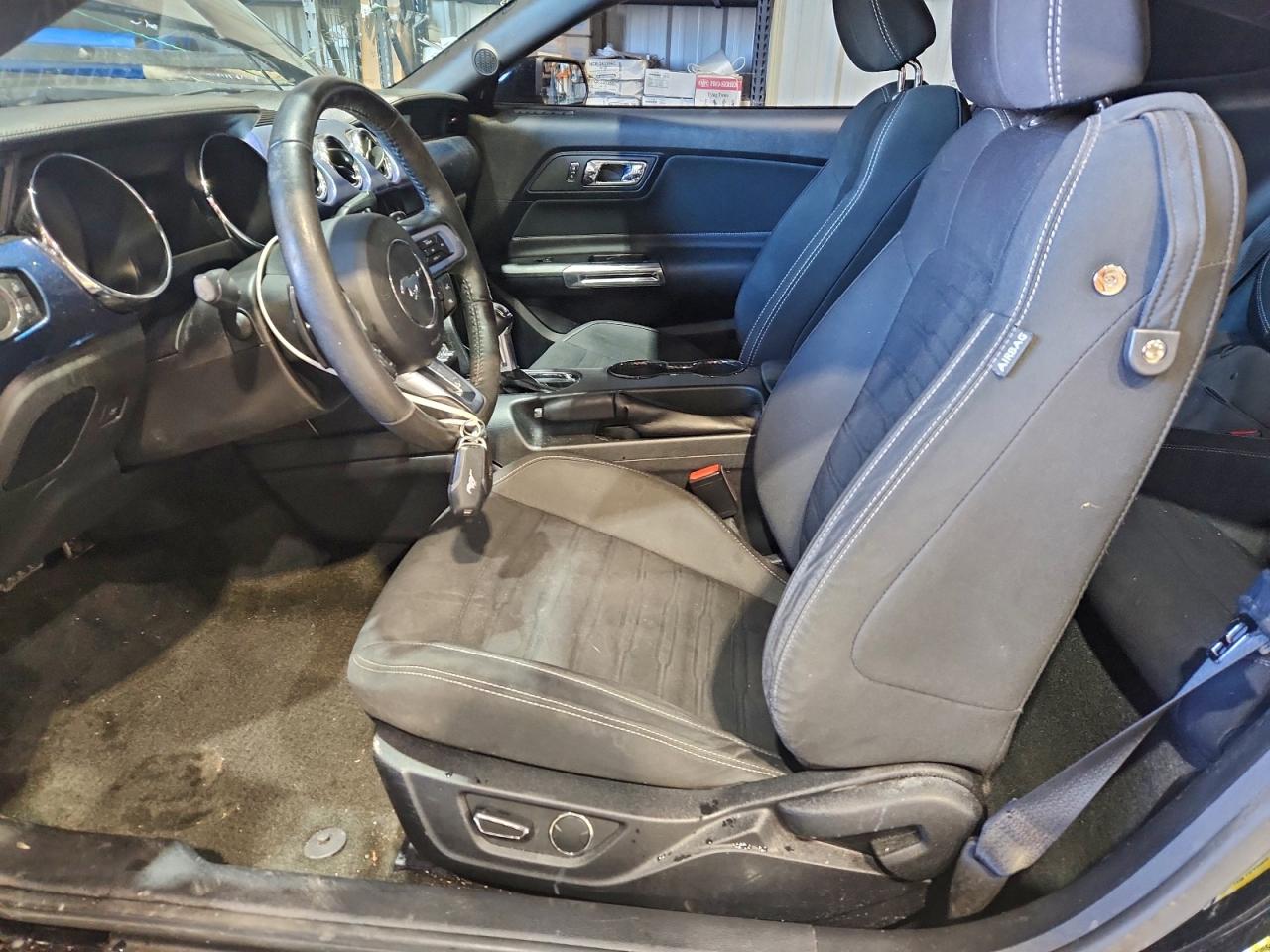 Ford Mustang Gt Image 12