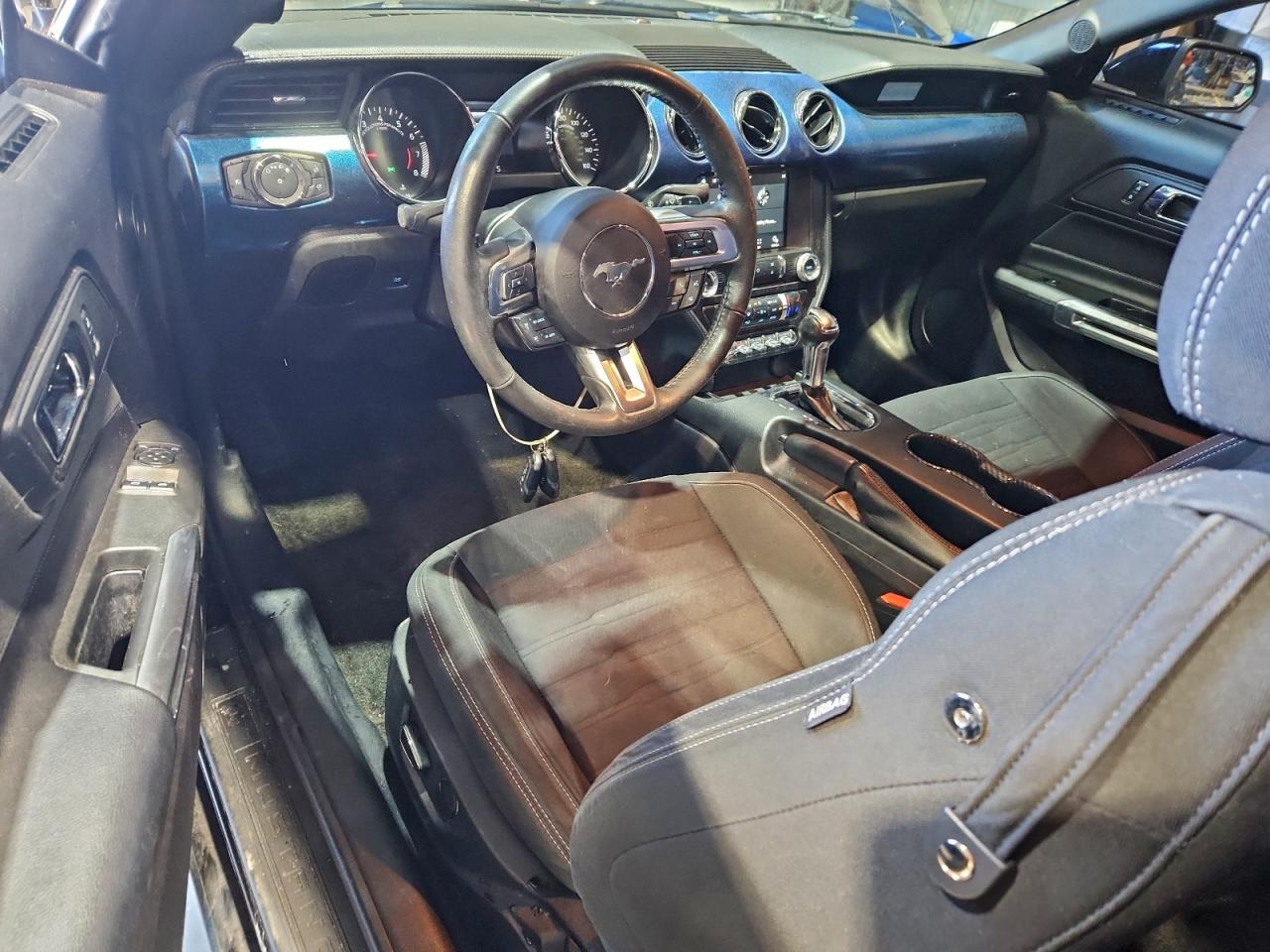 Ford Mustang Gt Image 11